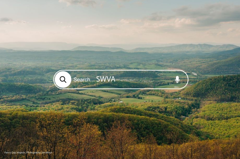 <h2 class="wp-block-heading">Running a business in Southwest Virginia without a professional website is like trying to compete in NASCAR with a horse and buggy. You might get some attention for being different, but you won't win the race. While social media platforms have their place in your marketing toolkit, they should never be your only digital presence. Here's why building your business solely on social media is a losing strategy – and what you should do instead.</h2>



<h2 class="wp-block-heading">The Social Media Mirage: Why Platforms Aren't Enough</h2>



<p>Social media feels easy. You can set up a<a href="https://www.facebook.com/help/www/104002523024878" data-type="link" data-id="https://www.facebook.com/help/www/104002523024878"> Facebook page</a> in minutes, post some photos on Instagram, and start connecting with customers right away. For many Southwest Virginia businesses – from <a href="https://discoverbristol.org" data-type="link" data-id="https://discoverbristol.org" target="_blank" rel="noreferrer noopener">Bristol </a>barbecue joints to Wise County manufacturers – social media seems like the perfect solution for getting online quickly and cheaply.</p>



<div class="wp-block-group"><div class="wp-block-group__inner-container is-layout-constrained wp-block-group-is-layout-constrained"><div class="wp-block-image">
<figure class="alignright size-large is-resized"><img src="https://www.blevinscreativegroup.com/wp-content/uploads/2025/08/rented-space-1024x576.jpeg" alt="Why Your Business Needs a Website" class="wp-image-5065" style="width:513px;height:auto"/></figure>
</div>


<blockquote class="wp-block-quote is-layout-flow wp-block-quote-is-layout-flow">
<p>But here's the harsh reality: social media platforms are rented land. You don't own your Facebook page, Instagram account, or TikTok profile. These platforms control everything about your digital presence, from how many people see your posts to whether your account exists tomorrow.</p>
</blockquote>
</div></div>



<h3 class="wp-block-heading">Algorithm Changes Can Kill Your Reach Overnight</h3>



<p>Remember when Facebook promised that posting regularly would help you reach all your followers? Those days are long gone. Facebook's algorithm now shows your posts to only 2-5% of your followers unless you pay for promotion. Instagram has followed suit, and other platforms are heading in the same direction.</p>



<p>This means the 1,000 followers you worked hard to build might only see 20-50 of your posts. That's not a marketing strategy – that's digital quicksand.</p>



<h3 class="wp-block-heading">Platform Dependency Creates Dangerous Vulnerabilities</h3>



<p>What happens when Instagram goes down for a day? Your entire marketing operation stops. What if Facebook decides your industry violates their terms of service? Your business disappears from the platform overnight. These aren't hypothetical scenarios – they happen regularly.</p>


<div class="wp-block-image">
<figure class="alignright size-large is-resized"><img src="https://www.blevinscreativegroup.com/wp-content/uploads/2025/08/website-strategy-1024x629.jpg" alt="Southwest Virginia Businesses" class="wp-image-5069" style="width:453px;height:auto"/></figure>
</div>


<p>Regional businesses in Southwest Virginia face unique challenges. When the Appalachian region experienced internet outages during recent storms, businesses with only social media presence completely lost their ability to communicate with customers. Those with websites could still be found through search engines once connectivity returned.</p>



<p></p>



<h2 class="wp-block-heading">Why Websites Give You the Competitive Edge</h2>



<p>A website is <a href="https://www.blevinscreativegroup.com/storytelling/is-branding-an-art-science-or-a-little-bit-of-both/" data-type="post" data-id="4477">digital real estate</a> you actually own. It's your business headquarters on the internet, working for you 24 hours a day, seven days a week. Unlike social media platforms, your website follows your rules, displays your content exactly as you want, and can't be taken away by algorithm changes or platform policies.</p>



<h3 class="wp-block-heading">Search Engine Visibility That Social Media Can't Match</h3>



<p>When someone in <a href="https://visitabingdonvirginia.com" data-type="link" data-id="https://visitabingdonvirginia.com" target="_blank" rel="noreferrer noopener">Abingdon</a> searches for "custom manufacturing near me" or "best restaurant in<a href="https://bigstonegap.com" target="_blank" data-type="link" data-id="https://bigstonegap.com" rel="noreferrer noopener"> Big Stone Gap</a>," Google doesn't show them Facebook posts. Google shows websites. Businesses without <a href="https://www.blevinscreativegroup.com/storytelling/the-personality-of-branding/" data-type="post" data-id="4450">professional websites</a> miss out on thousands of potential customers who are actively searching for their services.</p>



<p>Local SEO is particularly powerful for Southwest Virginia businesses. When you optimize your website for local search terms, you can capture customers not just from your immediate area, but from the entire tri-state region. A manufacturing company in Lebanon can attract clients from Tennessee and Kentucky. A restaurant in Norton can draw tourists traveling the <a href="https://www.virginia.org/things-to-do/arts-and-entertainment/music/the-crooked-road/" target="_blank" data-type="link" data-id="https://www.virginia.org/things-to-do/arts-and-entertainment/music/the-crooked-road/" rel="noreferrer noopener">Crooked Road heritage trail</a>.</p>



<h3 class="wp-block-heading">Professional Credibility That Builds Trust</h3>



<p>A professional website signals that you're a legitimate, established business. When potential customers are choosing between a company with a sleek, informative website and one with only a basic Facebook page, which do you think they'll trust with their money?</p>



<p>This <a href="https://www.blevinscreativegroup.com/storytelling/the-good-the-bad-and-just-good-enough/" data-type="post" data-id="4110">credibility factor</a> is especially important for B2B companies in Southwest Virginia's manufacturing and distribution sectors. Decision-makers expect to find detailed information about your capabilities, certifications, and track record. A website lets you showcase case studies, technical specifications, and client testimonials in a professional format that social media simply can't match.</p>



<h3 class="wp-block-heading">Complete Control Over Your Message and Brand</h3>



<p>Your website is your digital storefront. You control every aspect of the customer experience, from the colors and fonts to the information displayed and the path customers take through your site. You can create dedicated landing pages for different services, build email lists, and guide visitors toward specific actions.</p>



<p>Social media platforms force you to work within their design limitations and constantly compete for attention against cat videos and political arguments. Your important business announcement gets lost in the noise of a cluttered feed.</p>



<h2 class="wp-block-heading">The Data Advantage: Why Analytics Matter</h2>



<p>Websites provide detailed analytics about your customers that social media platforms don't offer. You can see which pages visitors spend the most time on, where they're located, how they found you, and what convinced them to contact you. This data helps you make informed decisions about your marketing and business development.</p>



<p>Social media analytics are limited and often focused on vanity metrics like likes and shares rather than business outcomes like leads and sales. Website analytics tell you what's actually driving revenue.</p>



<h3 class="wp-block-heading">Lead Generation and Customer Nurturing</h3>



<p>Your website can capture leads 24/7 through contact forms, newsletter signups, and downloadable resources. You own these leads and can communicate with them directly through email marketing. Social media platforms limit your ability to export follower information and often restrict how you can communicate with your audience.</p>



<p>For Southwest Virginia businesses, this lead capture capability is crucial. Tourist season brings visitors who might need your services months later. A website with lead capture keeps those potential customers connected to your business long after they've left the region.</p>



<div class="wp-block-group is-vertical is-layout-flex wp-container-core-group-is-layout-8cf370e7 wp-block-group-is-layout-flex">
<div class="wp-block-columns is-layout-flex wp-container-core-columns-is-layout-9d6595d7 wp-block-columns-is-layout-flex">
<div class="wp-block-column is-layout-flow wp-block-column-is-layout-flow" style="flex-basis:100%">
<div class="wp-block-columns is-layout-flex wp-container-core-columns-is-layout-9d6595d7 wp-block-columns-is-layout-flex">
<div class="wp-block-column is-layout-flow wp-block-column-is-layout-flow" style="flex-basis:50%"><div class="wp-block-image">
<figure class="alignleft size-large is-resized"><img src="https://www.blevinscreativegroup.com/wp-content/uploads/2025/08/website-strategy-edited.png" alt="Website vs social media" class="wp-image-5078" style="width:422px;height:auto"/></figure>
</div></div>



<div class="wp-block-column is-layout-flow wp-block-column-is-layout-flow" style="flex-basis:50%">
<div class="wp-block-group is-content-justification-right is-nowrap is-layout-flex wp-container-core-group-is-layout-fd526d70 wp-block-group-is-layout-flex">
<div class="wp-block-group"><div class="wp-block-group__inner-container is-layout-constrained wp-block-group-is-layout-constrained">
<p></p>



<h2 class="wp-block-heading">The Integration Strategy: Website as Your Digital Hub</h2>



<p>Smart businesses don't choose between websites and social media – they use social media to drive traffic to their websites. Your social posts should tease interesting content and direct followers to your website for the full story. This strategy lets you use social media's engagement features while building traffic to the digital property you actually own.</p>



<p>Think of social media as your business development team and your website as your sales closer. Social media introduces people to your brand and builds relationships. Your website provides detailed information and converts visitors into customers.</p>
</div></div>
</div>
</div>
</div>
</div>
</div>
</div>



<h3 class="wp-block-heading">Content Marketing That Builds Authority</h3>



<p>A blog on your website positions you as an expert in your industry. Regular, helpful content improves your search engine rankings and gives you material to share across social media platforms. A blog post about manufacturing innovations in Southwest Virginia can be turned into multiple social media posts, email newsletters, and speaking topic ideas.</p>



<p>This approach works particularly well for the diverse industries in our region. A distribution company can blog about logistics challenges in Appalachian terrain. A restaurant can share stories about local suppliers and seasonal ingredients. Each post builds your reputation and improves your website's search rankings.</p>



<h2 class="wp-block-heading">Making the Investment: ROI of Professional Websites</h2>



<p>A professional website requires upfront investment, but the return far exceeds the cost. Unlike social media advertising, which stops working the moment you stop paying, website improvements continue generating value for years.</p>



<p><strong>Consider the math: </strong>Social media ads might cost $500-2000 per month with temporary results. A professional website costs $3000-10000 upfront but works for years with minimal ongoing costs. The website pays for itself by capturing leads that would otherwise be lost to competitors with better web presences.</p>



<h3 class="wp-block-heading">Local Success Stories</h3>



<p>Manufacturing companies in the Mount Rogers region have used professional websites to attract clients from across the Southeast. Restaurants along the I-81 corridor have increased tourist traffic by ranking high in local search results. Service businesses throughout Southwest Virginia have reduced their dependence on expensive advertising by generating steady leads through their websites.</p>



<p>These success stories share common elements: professional design, local SEO optimization, clear calls to action, and regular content updates. None of these businesses would have achieved the same results had they used only social media.</p>



<h2 class="wp-block-heading">Taking Action: Your Next Steps</h2>



<p>The digital landscape isn't waiting for Southwest Virginia businesses to catch up. Every day you operate without a professional website is a day your competitors gain ground. Customers are searching for services like yours right now, and if they can't find your website, they'll find someone else's.</p>



<p>Start by auditing your current online presence. Do a Google search for your services in your area. Where does your business appear? If you only show up on social media, you're missing the majority of potential customers who expect to find professional websites.</p>



<p>Next, consider what your ideal customer needs to know before choosing your business. This information should live on your website, not buried in social media posts that only a few people will see.</p>



<p>The businesses thriving in Southwest Virginia's competitive marketplace aren't the ones avoiding <a href="https://www.blevinscreativegroup.com/case-study/blp-case-study/" data-type="post" data-id="1309">digital transformation</a> – they're the ones embracing it strategically. A professional website isn't a luxury or a "nice to have" feature. It's essential infrastructure for modern business success.</p>



<p>Your competitors are already online. Your customers are already searching. The only question is whether you'll meet them there or let someone else capture the business that should be yours.</p>



<p><strong>The choice is clear:</strong> invest in a professional website or watch your competitors win the customers you should be serving. In today's digital economy, there's no middle ground.</p>



<p></p>