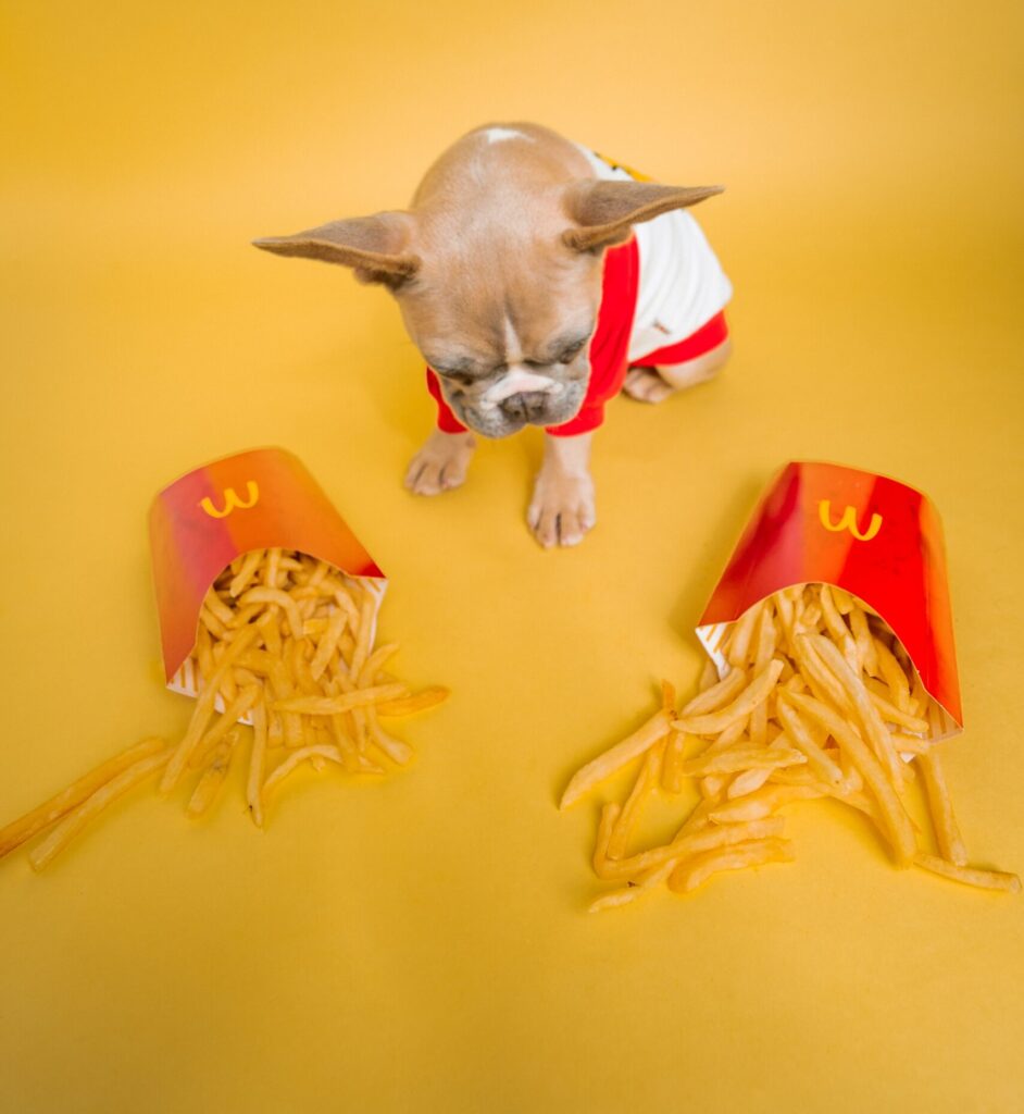 Brand Strategy it's a dog eat dog world