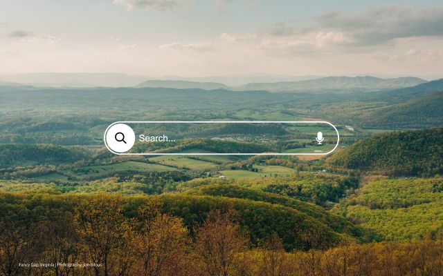 Why Your Business Needs a Website