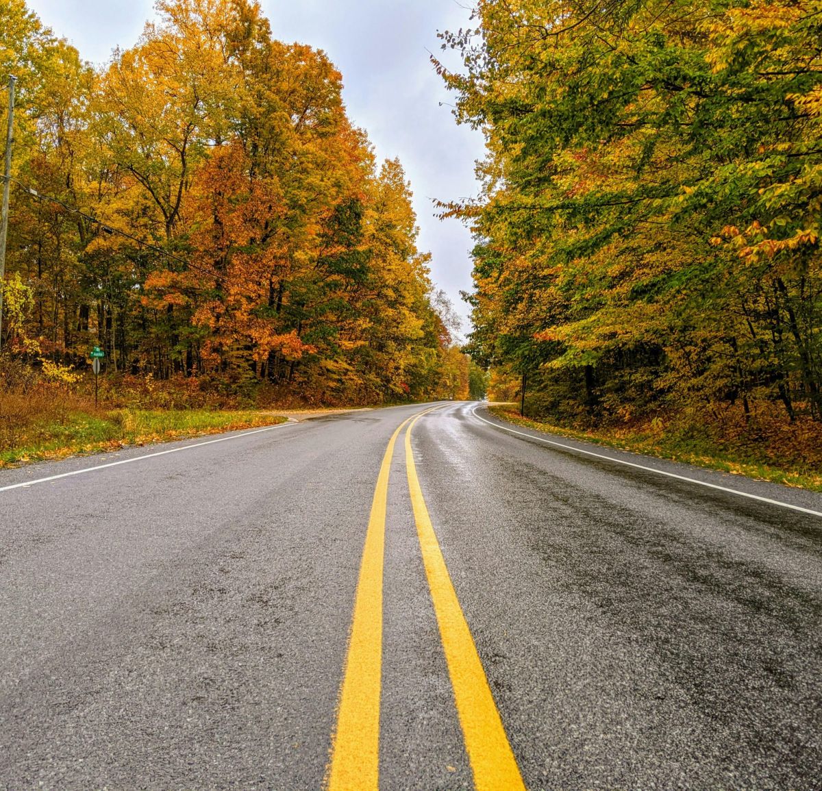 Virginia Tourism Business Listing