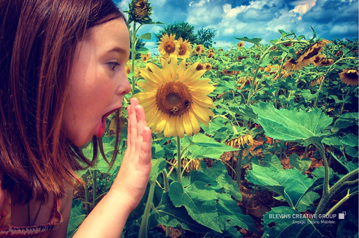 Southwest Virginia Photography