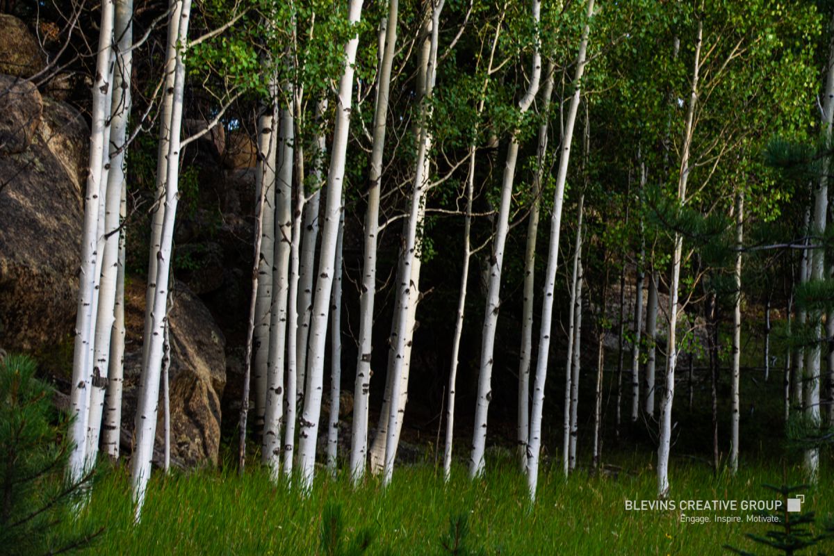 Southwest Virginia Photography